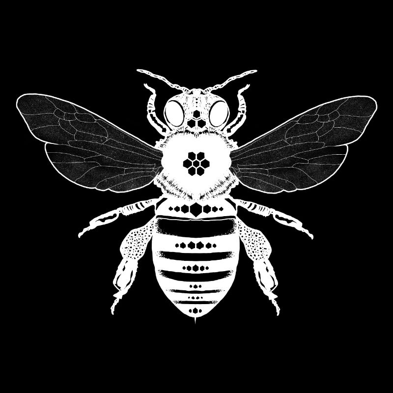 Insectes
