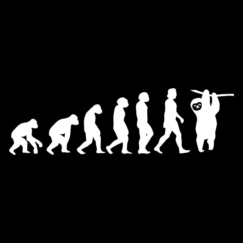 Sloth on a branch Evolution of humans Animals