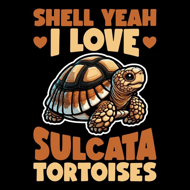 Sulcata Tortoise Tortoise Gift Tortoises