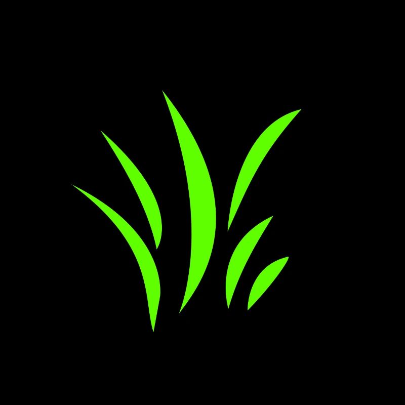 Gras