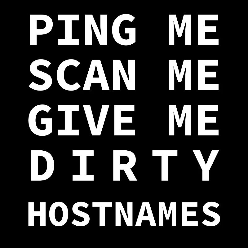 Ping Me Scan Me Dirty Hostnames Réseau Admin