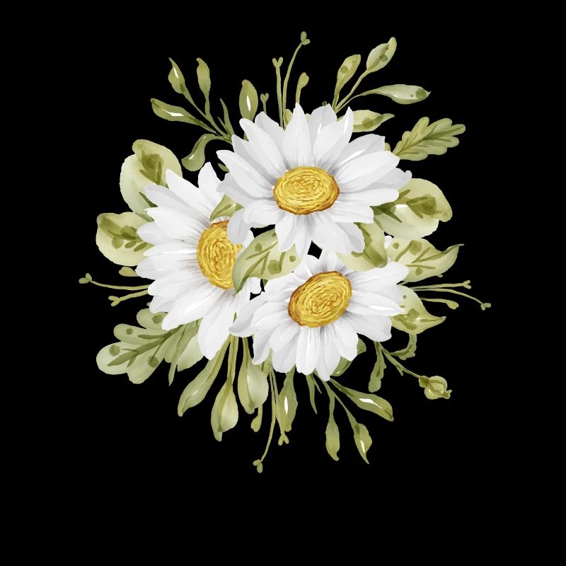 Marguerites Daisy Summer Daisies Jardin de fleurs