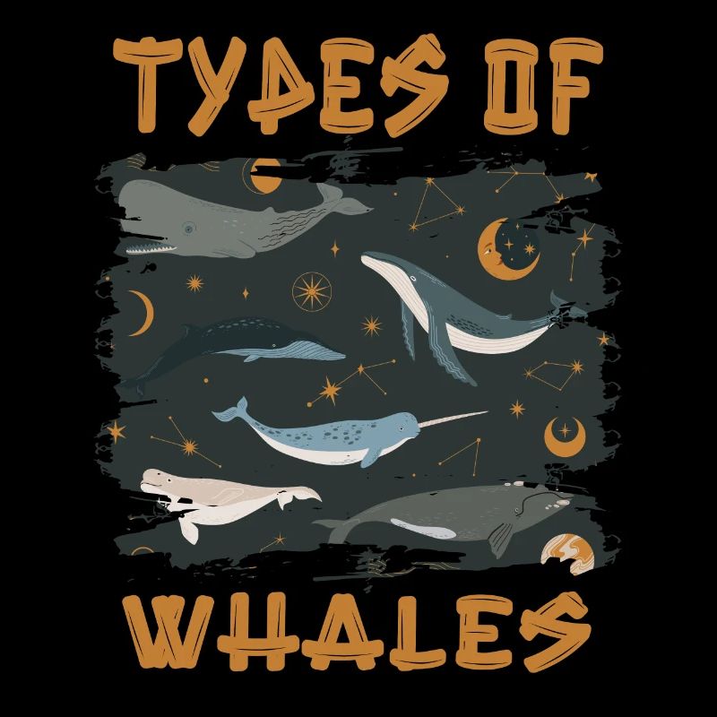Types de baleines Whale Lovers Whales Espèces de baleines