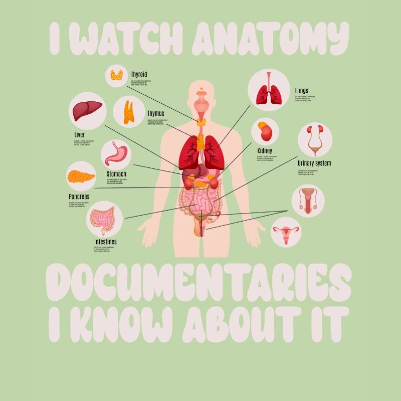 Anatomie Documentaires Médical