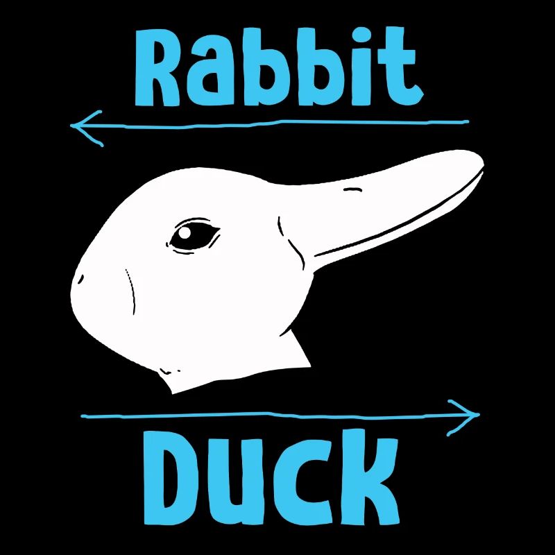 Wittgensteins Hasen-Enten-Illusion
