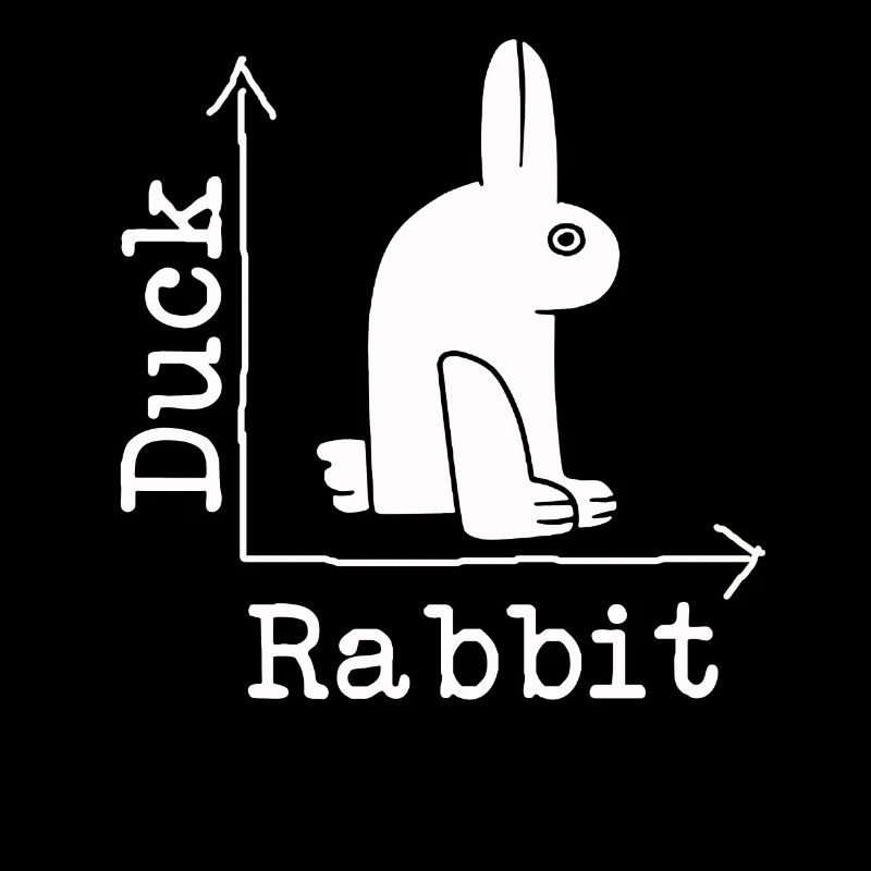 Wittgensteins Rabbit Duck Illusion