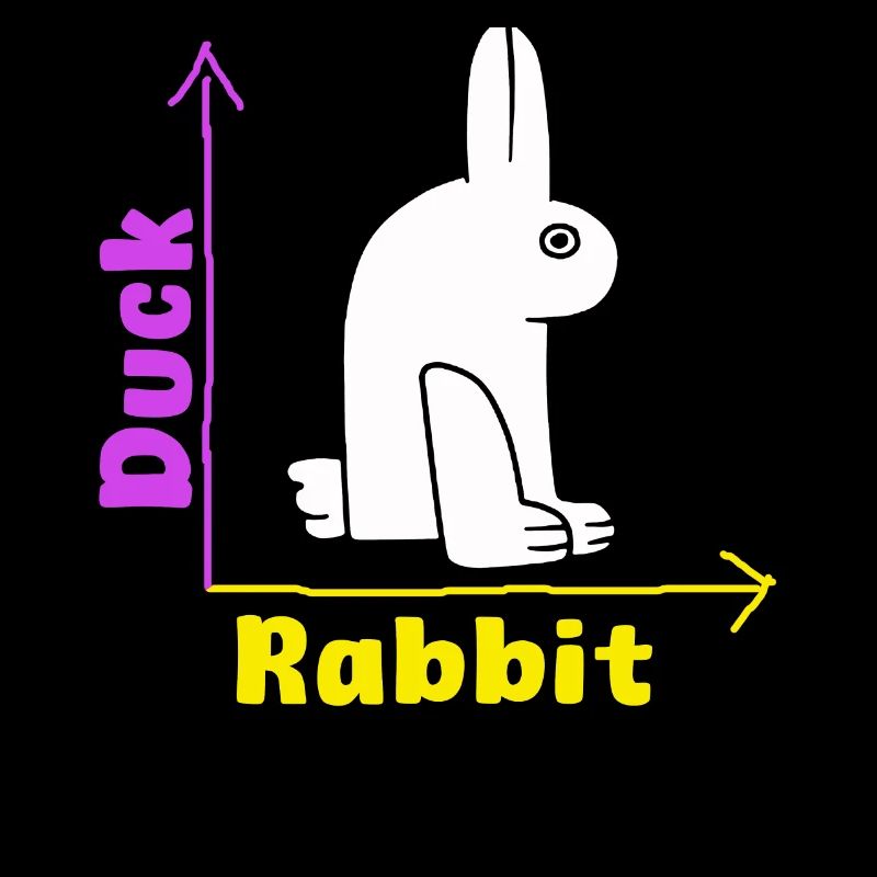 Wittgenstein lapin canard illusion
