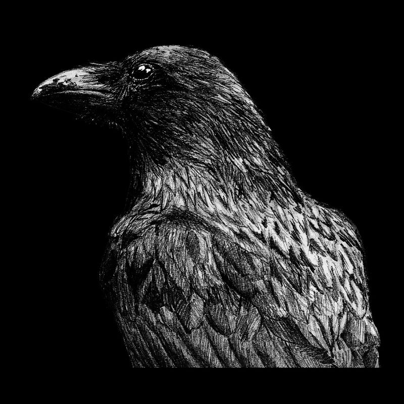 Corbeau