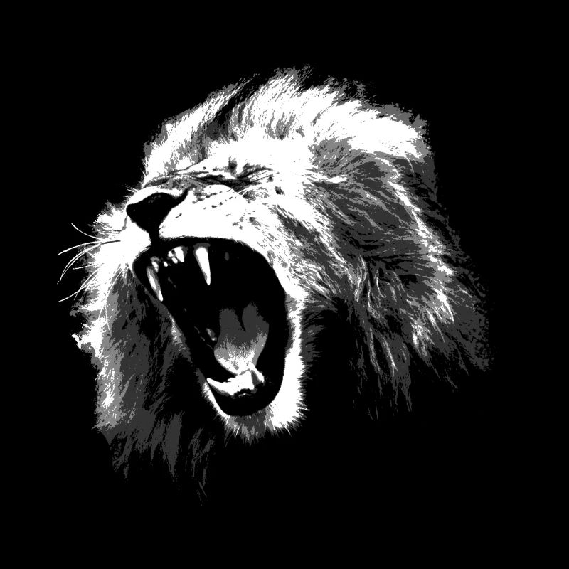 Löwe Illustration
