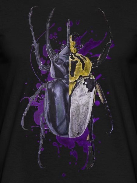 Coleoptera beetle beetle insect