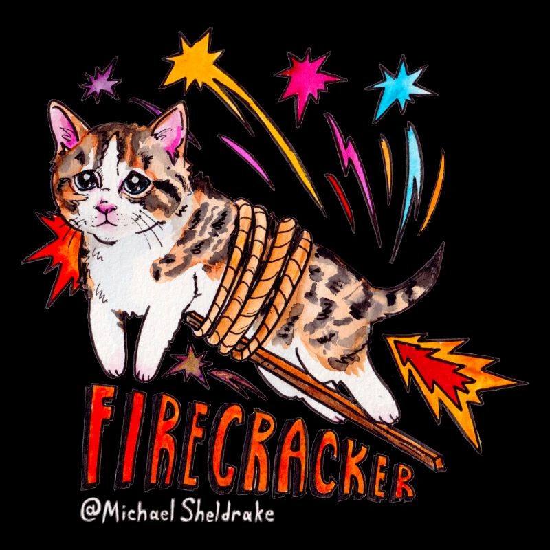 baby I'm a firecracker