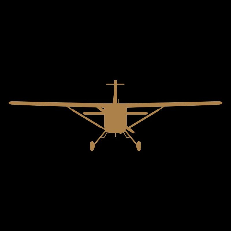 Flugzeug-Silhouette von vorn [vec]