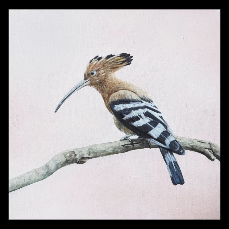 Vogel