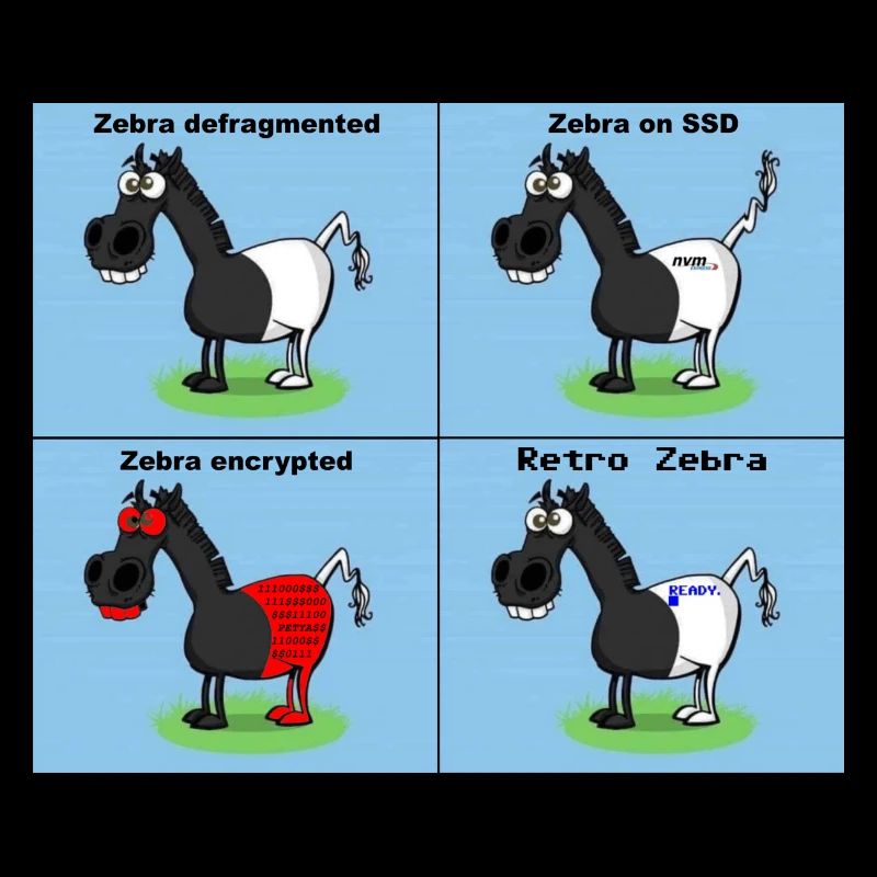 Zebra