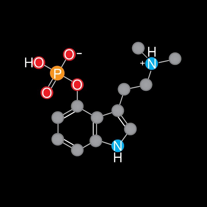Champignon magique - recherche de formules chimiques