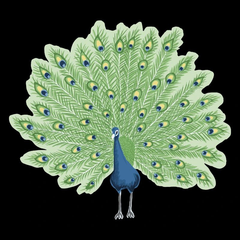 Paon en bleu et vert