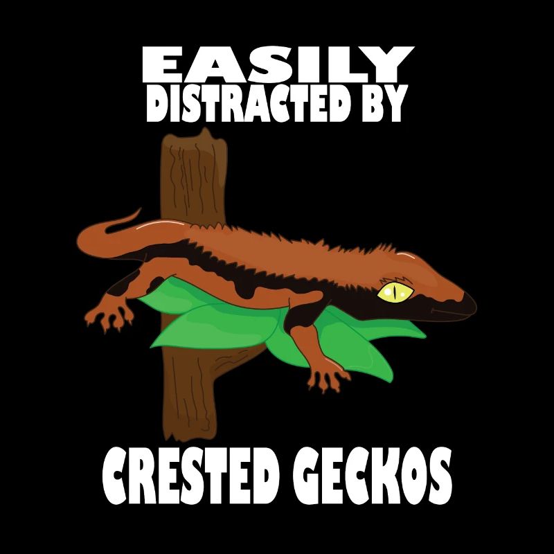 Ablenkt von Haubengeckos, Echsen, Reptilien