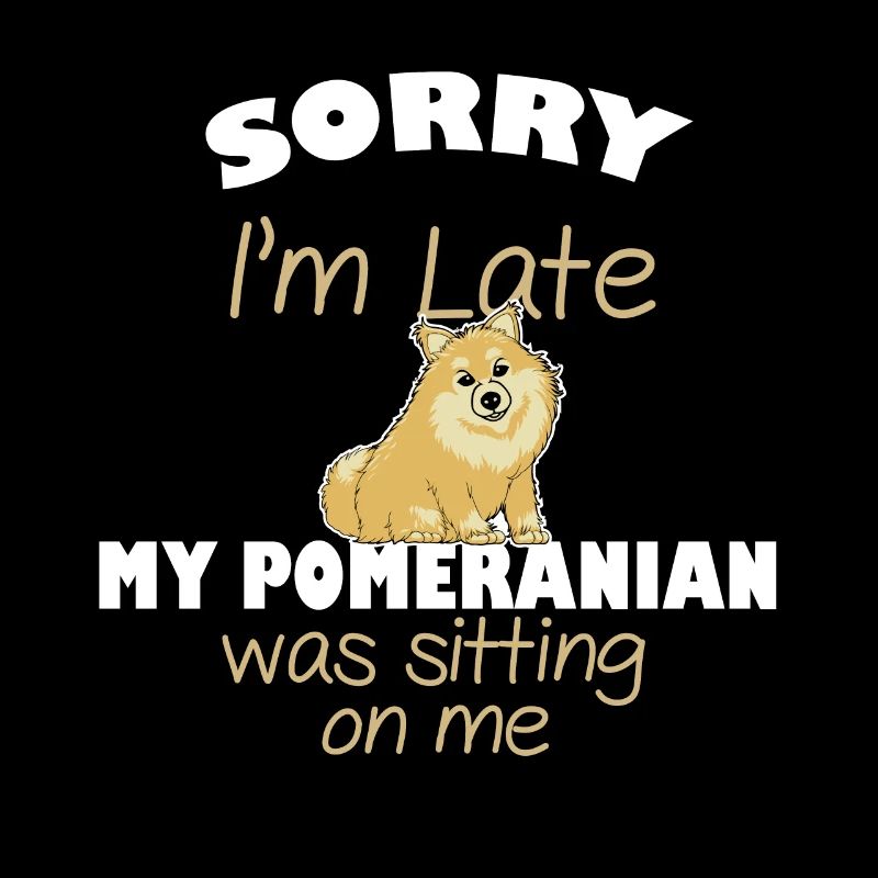 zwergspitz pomeranian hund geschenk