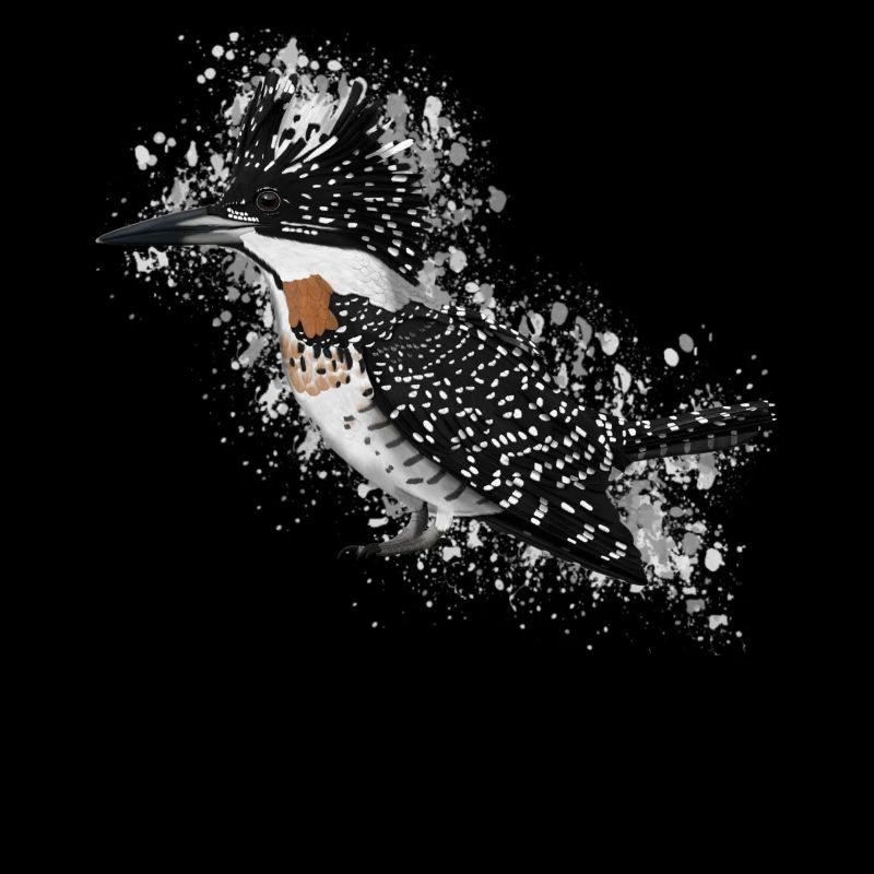 Mourning Bird Bird Lover Birdwatcher