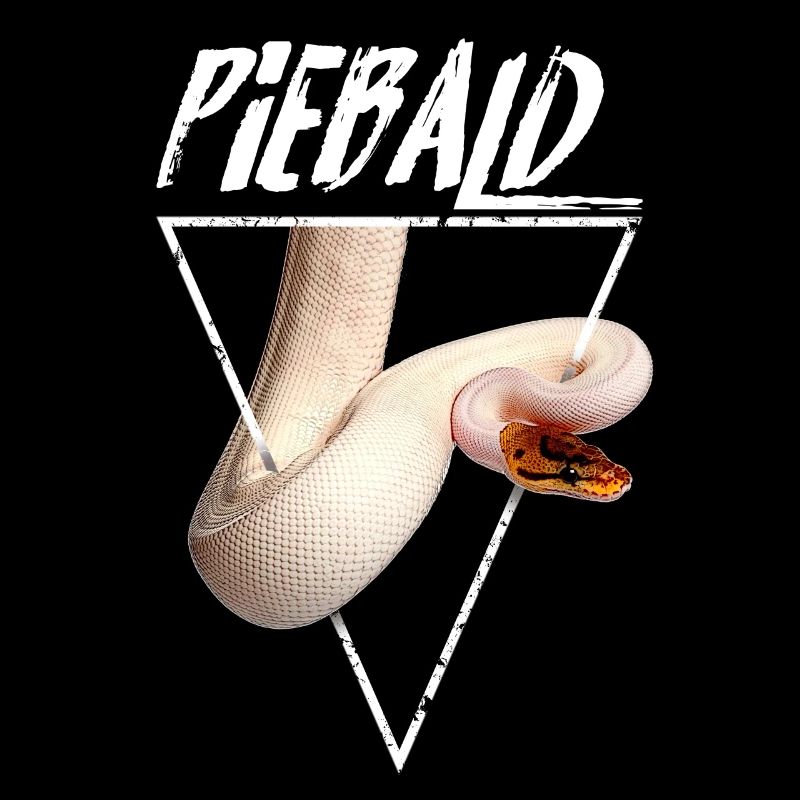 Piebald Ball Python Reptilienpfleger