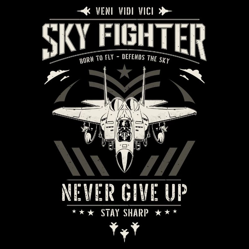 Jet fighter pilot plane jet fighter jet plane