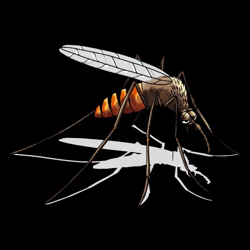 mosquito