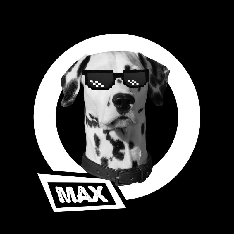 dalmatiner max sonnenbrille