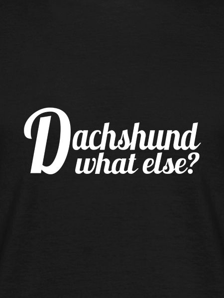 Dachshund - what else?