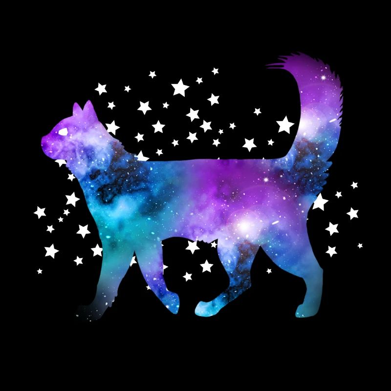 Katze Space Sterne