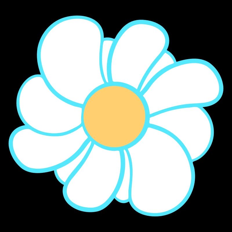 Weiße Margeriten Blumen Frühling Sommer Blümchen