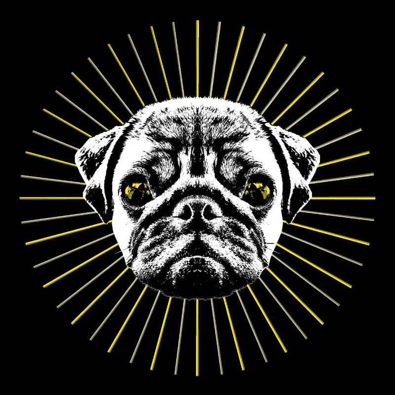 Holy Pug