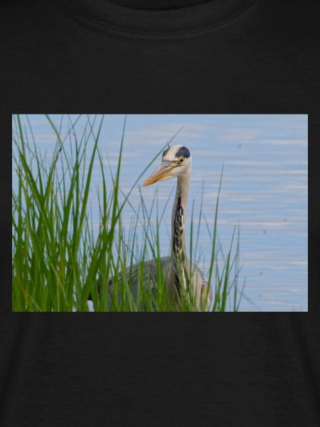 Heron