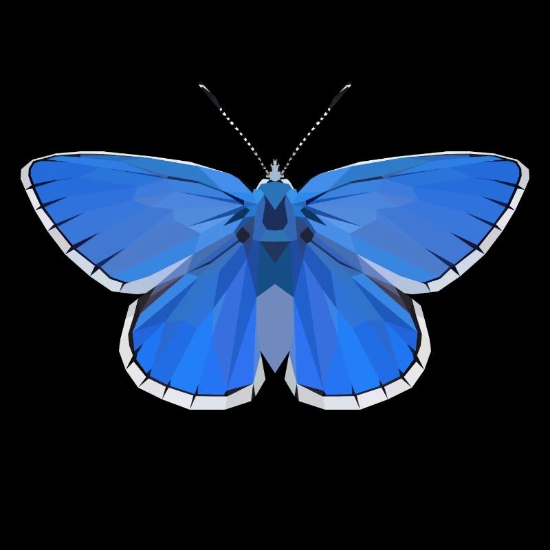 Adonis Blue