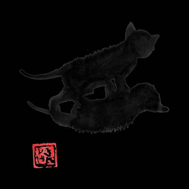 cat shadow