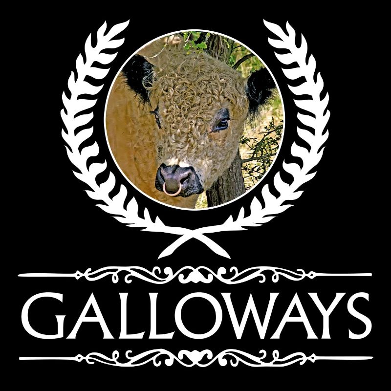 Galloway Stier im Lorbeerkranz