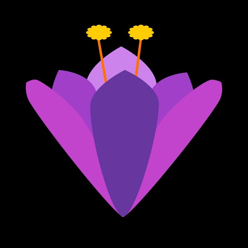 Crocus