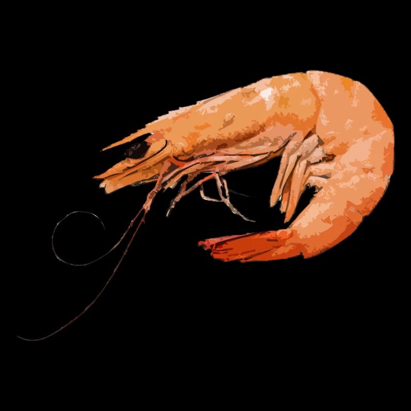 Garnele