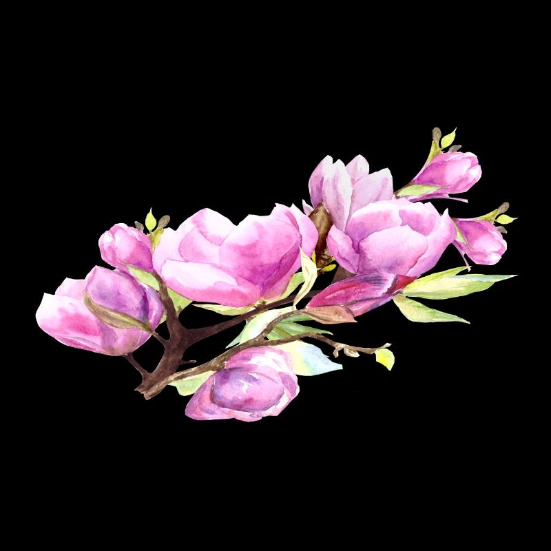 Magnolia Printemps Fleur Été