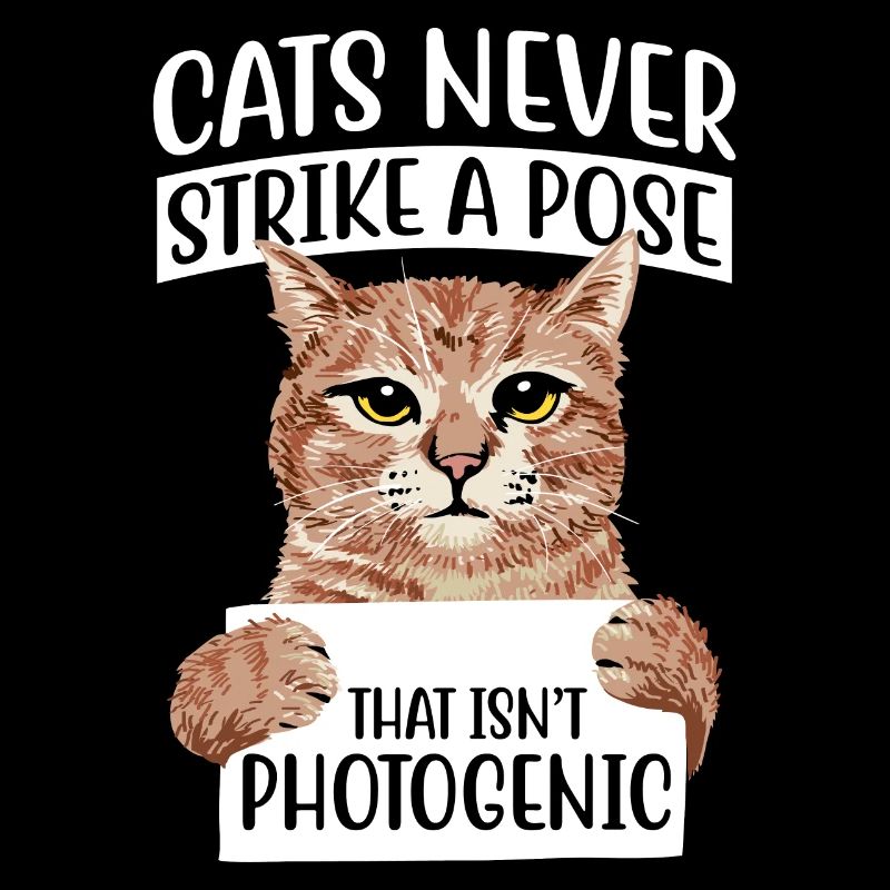 Cats never strike a pose that isn't photogenic