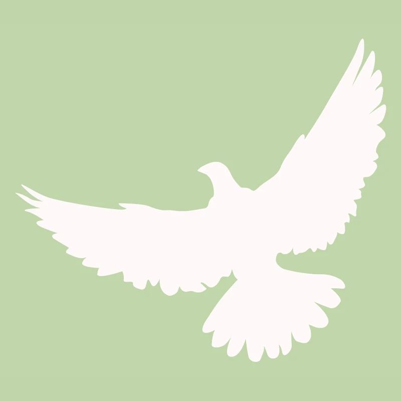 White dove rises