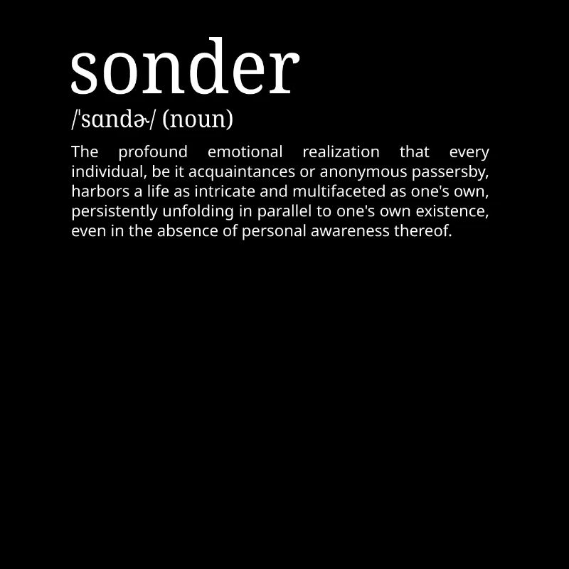 Sonder - Définition du dictionnaire