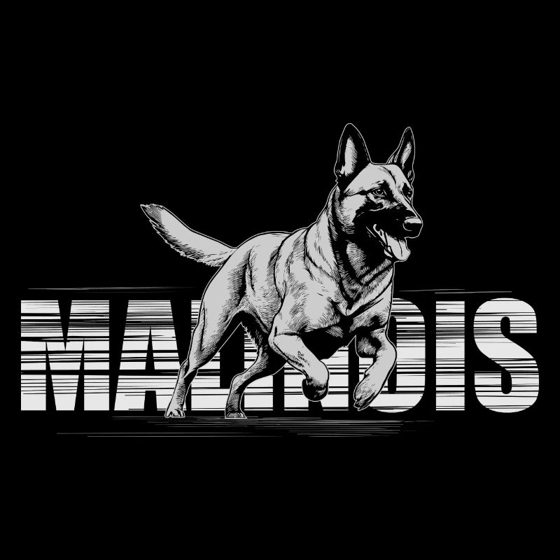 Malinois - Belgian shepherd -Mechelaar