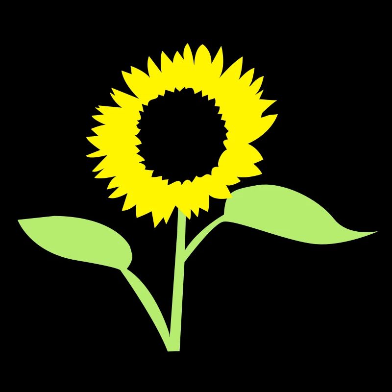 summer sunflower yellow with open leaves