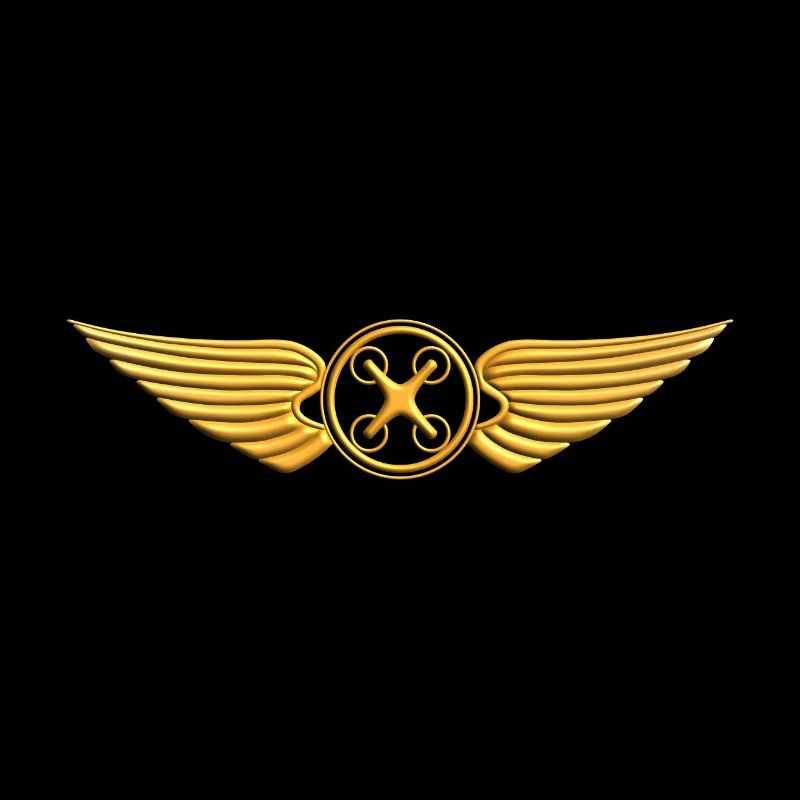 Drone Pilot - Drone Pilot - Drone Flying