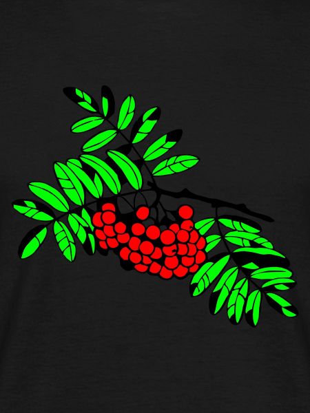 Mountain ash