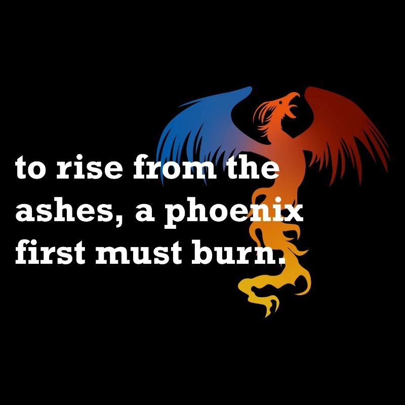 to rise from the ashes a phoenix first must burn