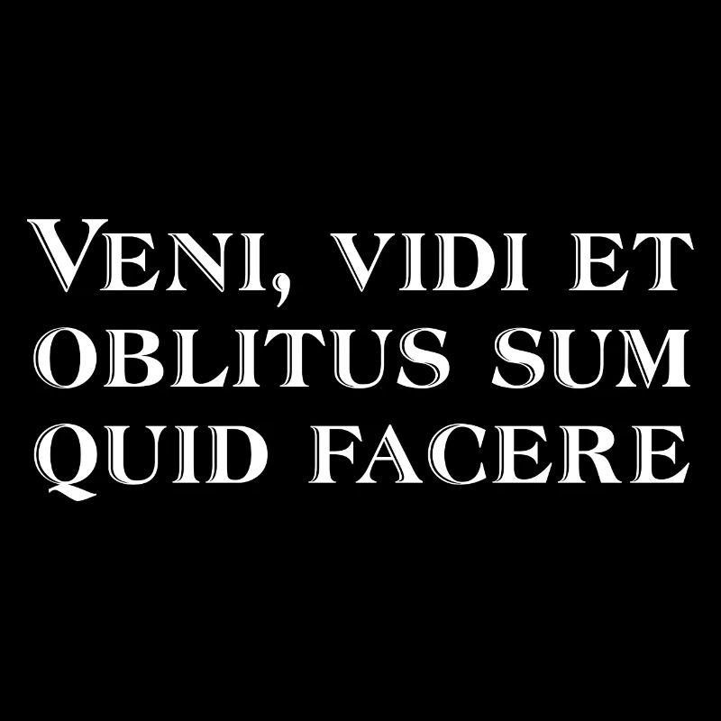 Veni vidi et oblitus sum quid facere