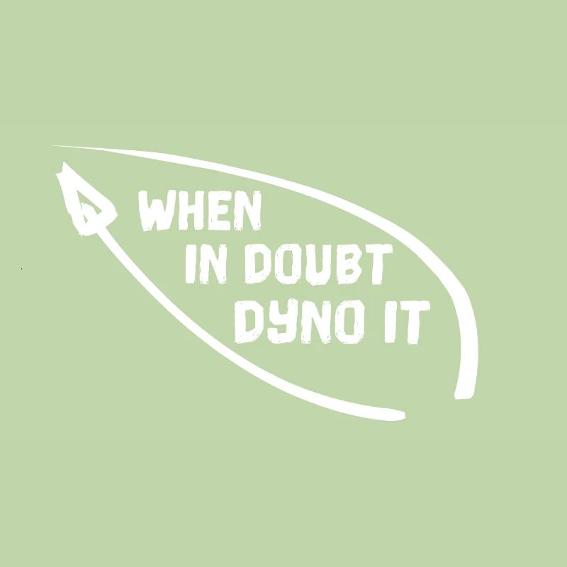WHEN IN DOUBT DYNO IT Klettern bouldern Kletterer