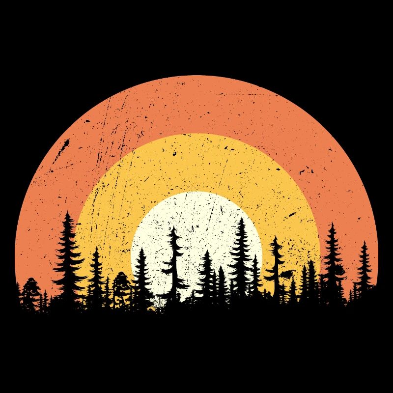 Sunset forest