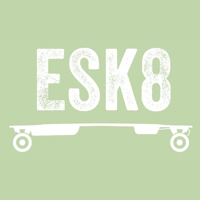 E-Longboard E-Skateboard esk8